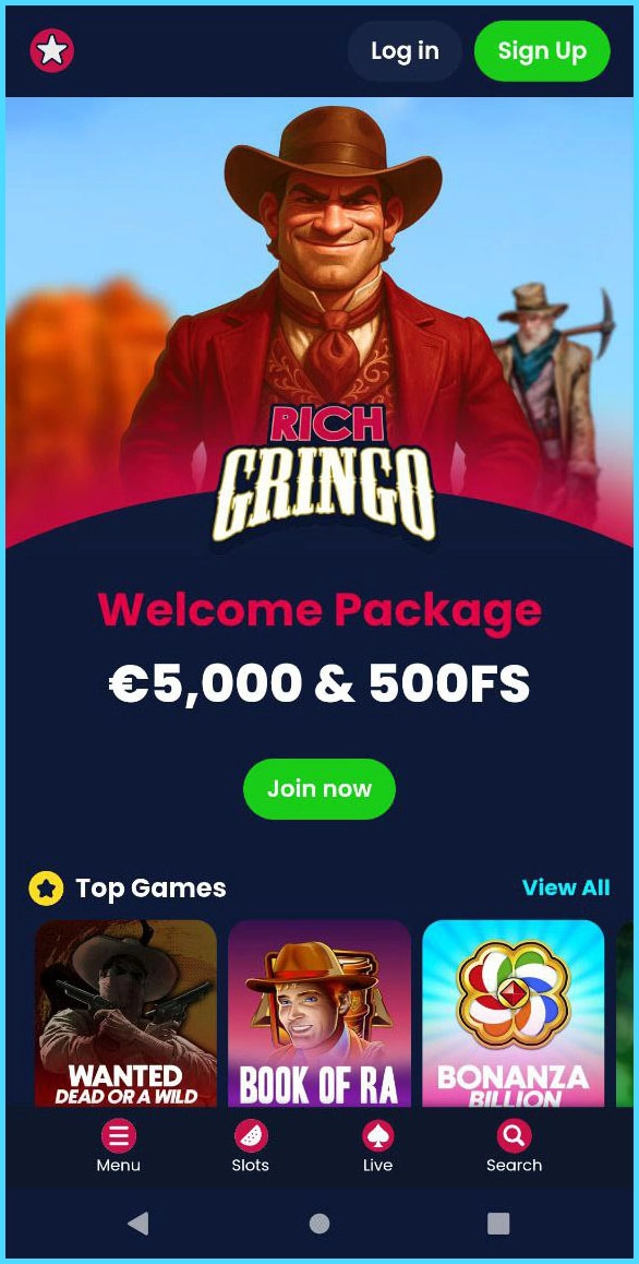 Optimized mobile version of the RichGringo website